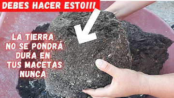 ¿Puedo utilizar tierra normal para macetas para la planta serpiente?