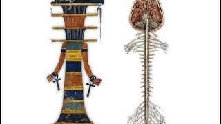 Djed Pillar: Integrating the body, mind, and spirit