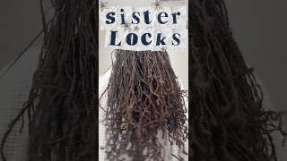 Sisterlocks! Answering common questions about my locs. #sisterlocs #locs #locjourney #loccrush