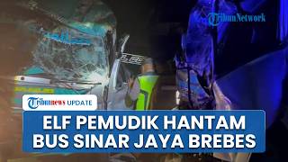 Laka Elf Pemudik Hantam Bus Sinar Jaya di Pantura Brebes hingga Ringsek Parah, 1 Penumpang Terjepit