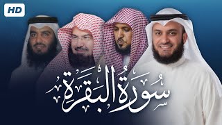 سورة البقرة بجودة عالية لـ 4 مشايخ ( العفاسي- العجمي- المعيقلي- السديس ) || Surah Al-Baqarah HD screenshot 4
