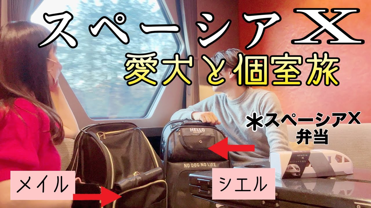 犬連れ【スペーシアX】 個室で快適すぎる旅【 そうだ日光へ行こう 】#スペーシアX　#犬旅