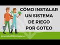 COÌMO INSTALAR UN SISTEMA DE RIEGO POR GOTEO EN TU JARDIÌN