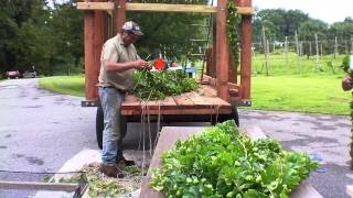 Orange County Hops first Harvest 2014