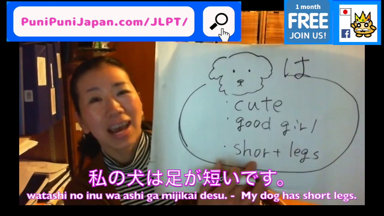 JLPT N5 Lesson 2! Basic Japanese Sentence Pattern - AはBです (A is B ...