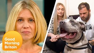 Don't Ban My Beloved Bully!  Calls To Cull The Breed Met With Resistance | Good Morning Britain