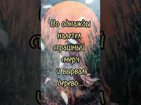 Притча: В чем сила женщины. #мудрыеслова #цитатысосмыслом #shorts