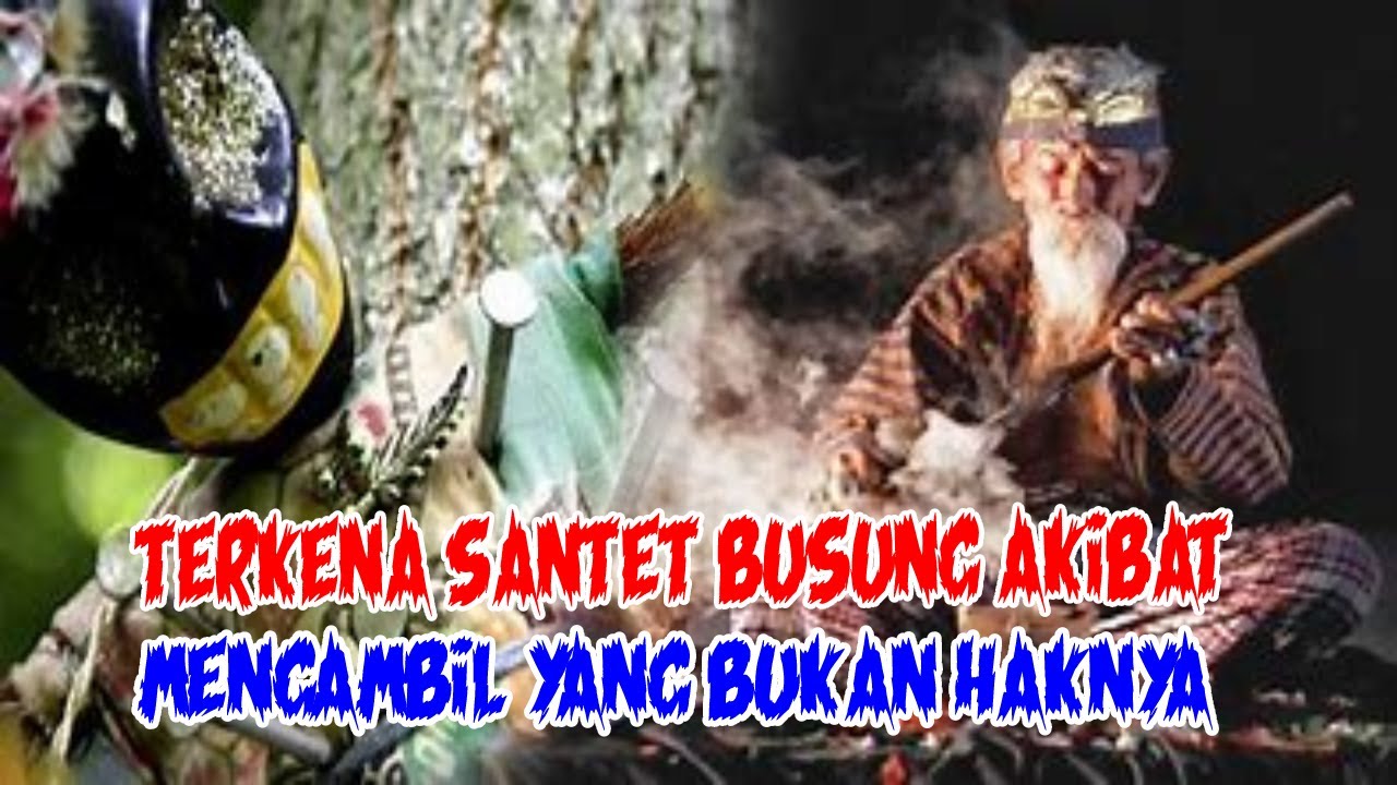 KISAH NYATA MISTERI : TERKENA SANTET BUSUNG AKIBAT MENGAMBIL SESUATU ...