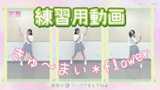 Download Lagu 【練習用動画】きゅ～まい＊flower 踊ってみた【バンドリ】 MP3