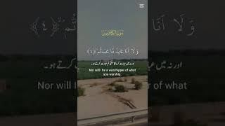 #surah kafirun#Urdu Eng subtitle#If u want to learn and read Quarn Whatsapp03162327223I will teach u