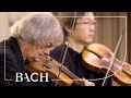 Bach - Cantata Die Elenden sollen essen BWV 75 - Kuijken | Netherlands Bach Society