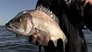 Land Based Fishing For Bream