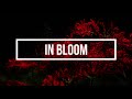 Miniature de la vidéo de la chanson In Bloom (Unissued Sub Pop 7" Mastertape) (5/90)
