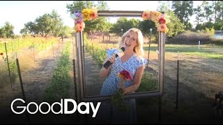 Stop and Smell the Flowers at Serendipity Flowers