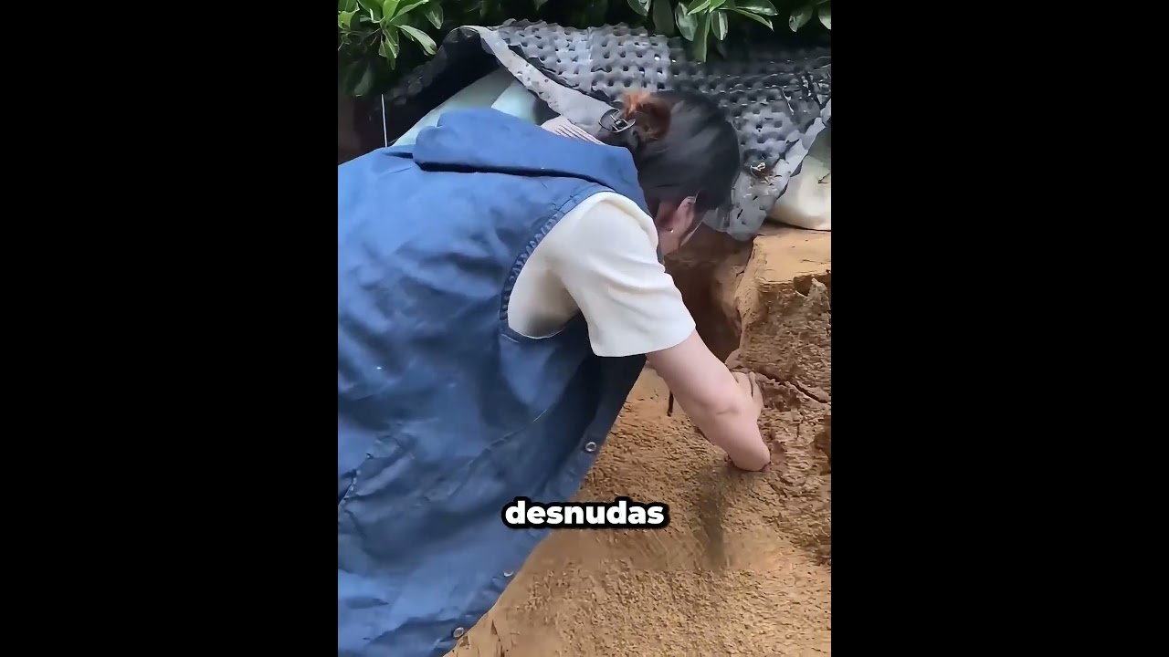 Los 10 minutos más aterradores de la vida del dueño de mi mascota