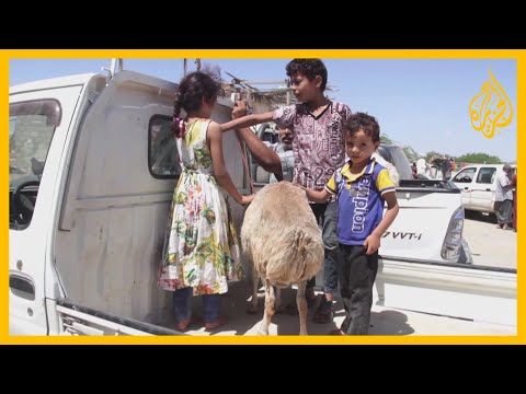 رغم ظروف الحرب.. اليمنيون متمسكون بعاداتهم في عيد الأضحى 🇾🇪