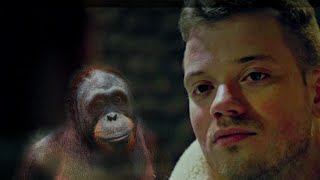 Bagagedrager Gers Pardoel