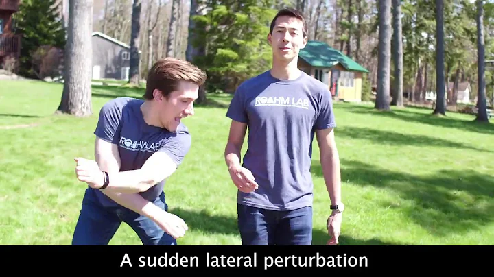 Dynamic Walking 2019 - Walking Man