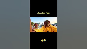 Monkey Vlogs AI Video Veo 3 video Islamabad Vlog YouTube Shortz #viral #monkeyvlogs #funny #comedy