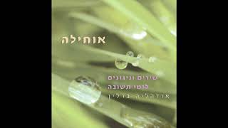 ברסלב ניגון - אודהליה ברלין