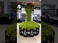 まるでアート展示のようなフルーツ売り場