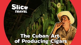 Viñales, the Cuban Capital of Cigars | SLICE TRAVEL