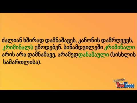 კრიმინალი არ არის დამნაშავე!/kriminali ar aris damnashave!