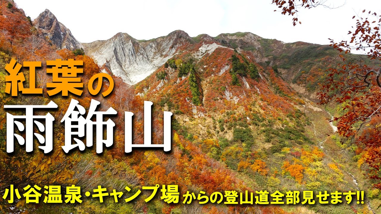 【登山体験】雨飾山、紅葉真っ盛りの百名山に登ってきた！／小谷温泉・雨飾高原キャンプ場からの登山道全部見せます！／2023/10