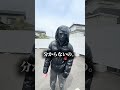 今はテリアを探しているらしい🤔💭