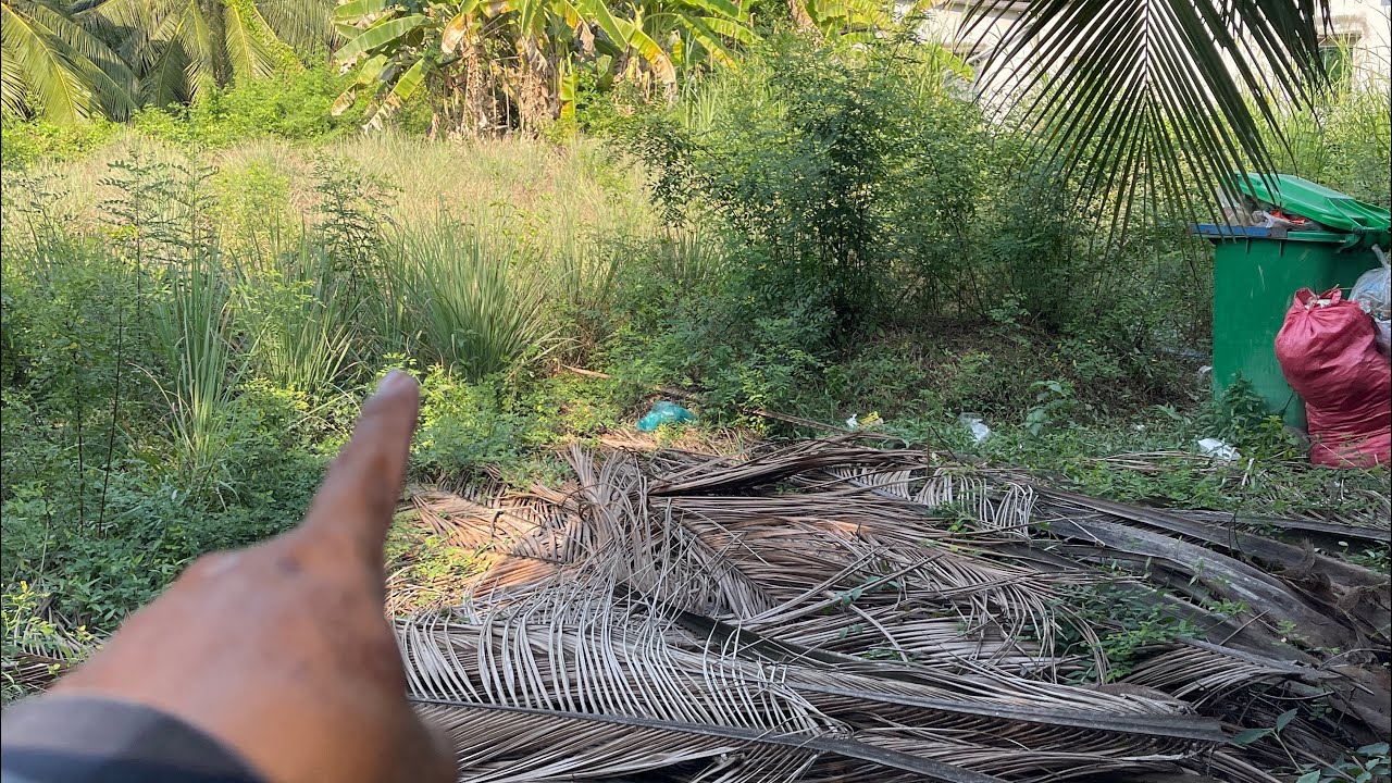 Tập 539☘️ bán đất thổ cư mặt tiền đường Đan oto. Dan cư mặt tiền đường. Lh0961172464. Sang 