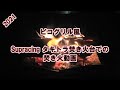ワイドなハイエースの旅　ピコグリル風　Supracing タキトラ焚き火台での焚き火動画