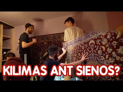 UŽSIKABINAU KILIMĄ ANT SIENOS