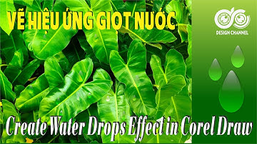 Hướng dẫn vẽ hiệu ứng giọt nước đơn giản | How To Create Water Drops In Corel Draw | Design Channel