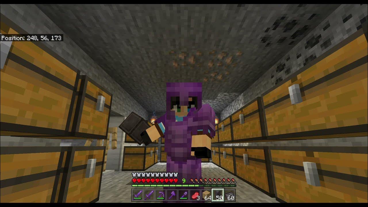 Netherite Armour and Tool will not burn in Lava and flame. Minecraft
