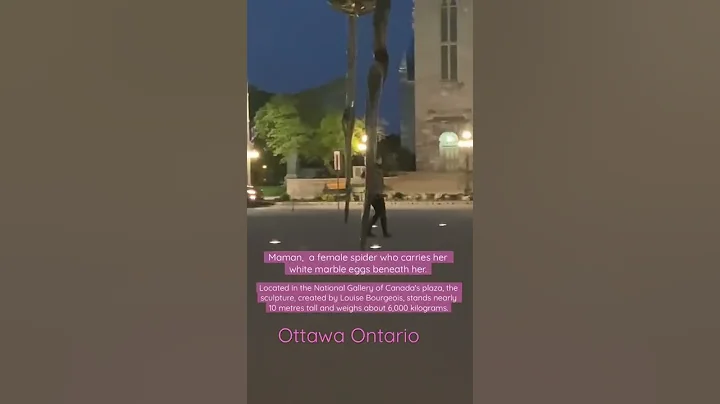 Spider In Ottawa #ottawa #canada  #shorts