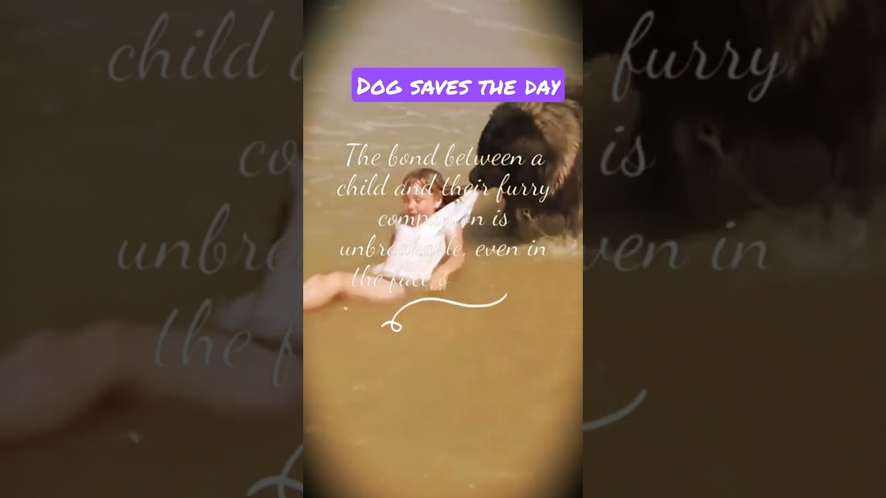 A dog's love knows no bounds 🐶 