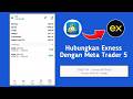 Daftar Exness | Cara Menghubungkan Exness Ke Metatrader 5 #Exness