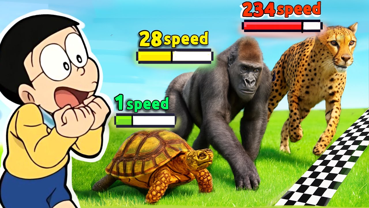 Fastest Animal Speed Comparison !!
