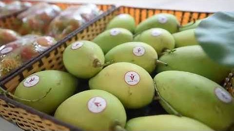 Lễ khánh thành tòa nhà VINA T&T GROUP - The inauguration of the VINA T&T GROUP Building