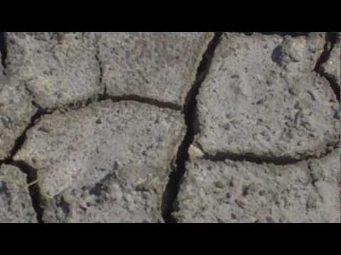 Geologic Features -