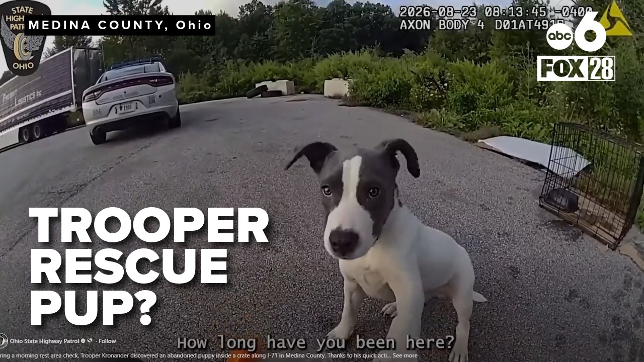 Ohio trooper finds abandoned puppy during rest stop check on I-71
