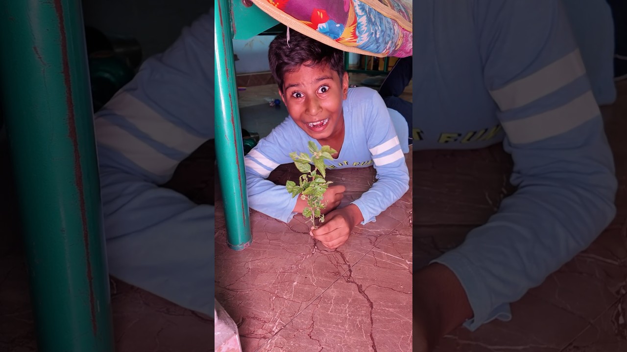 Pranesh prank 😂 தூங்குற Dadக்கு secret tickle 🤣 enna reaction? 🤯 #tamilshorts #familycomedy #prank