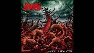 Soul Of Slamming - Agresi Prematur - (2016) - [Full Lenght]