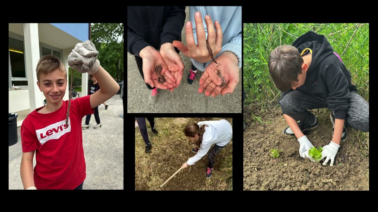 Secondaria Pirandello curvatura montessoriana