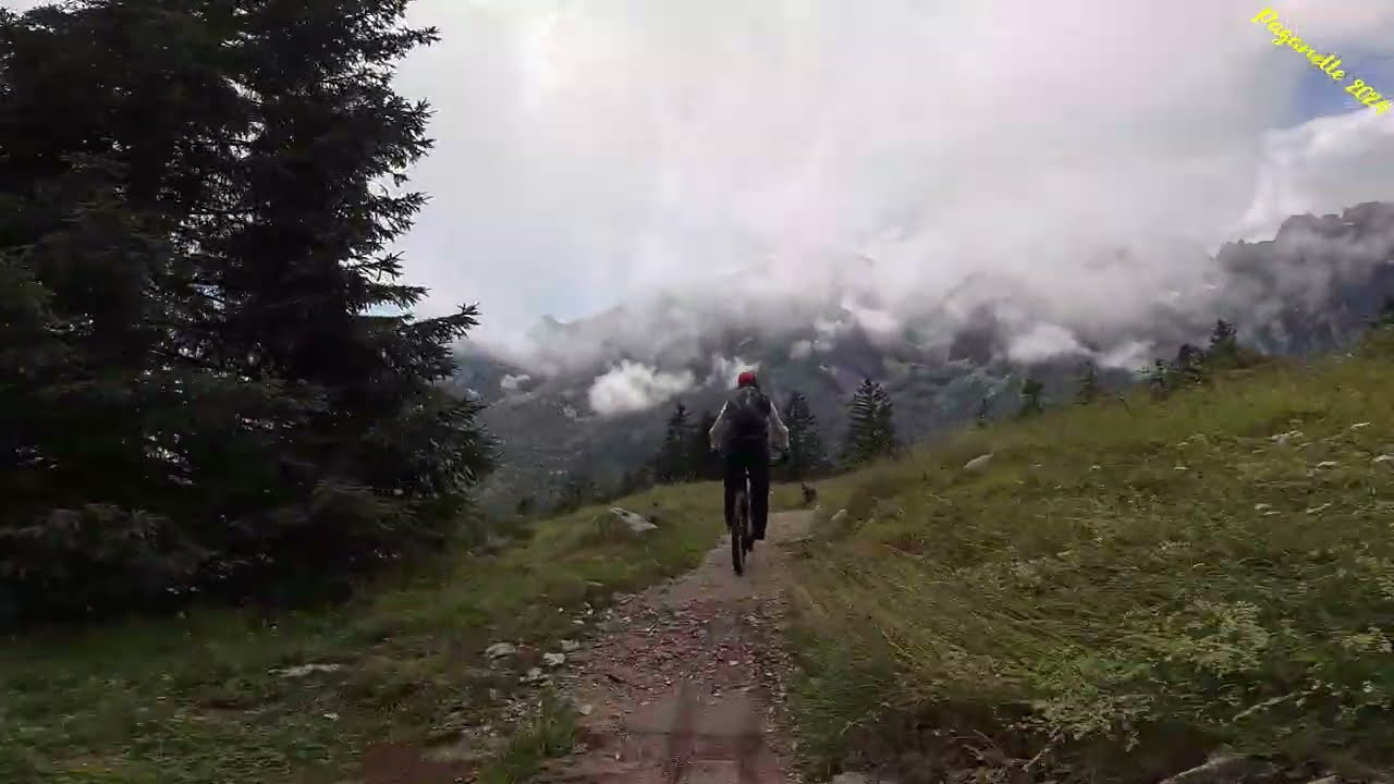 Bikepark Paganella 2024