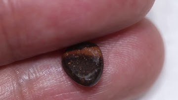 opale doublet 35 video 01