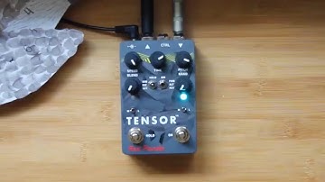Red panda Tensor Time warp pedals short film Glitch,pitch shift,delay