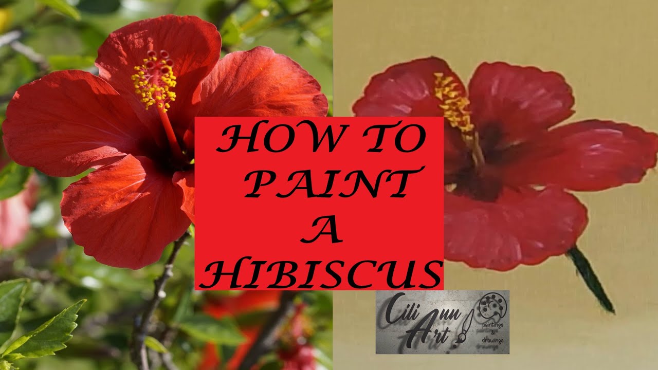 How To Paint A Hibiscus Easy | Step By Step Tutorial for Beginners