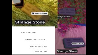 The Location Of The Strange Stone |Vesteria|