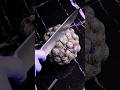 Wait... that's YARN? ASMR #relaxing #relax #kineticsand